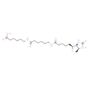 Biotin-C5-amino-C5-amino