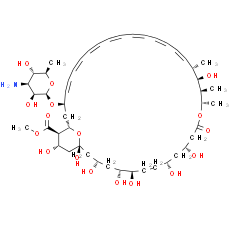 Amphotericin B methyl ester