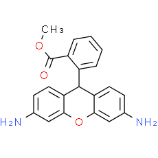 Dihydrorhodamine 123