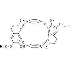 Isochondrodendrine