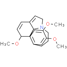 Fortuneine