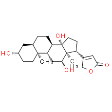 Digoxigenin