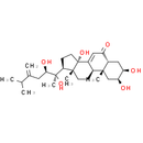 Polyporusterone B