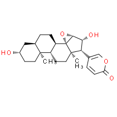 Desacetylcinobufagin