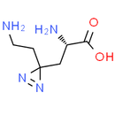 Photo-lysine