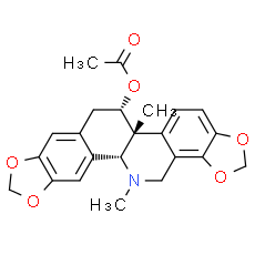 Acetylcorynoline