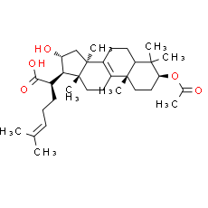 3-O-Acetyl-16α-hydroxytrametenolic acid