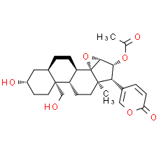Cinobufaginol