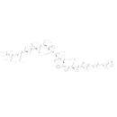 Calcitonin (8-32), salmon