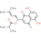 Isobutylshikonin