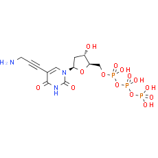 5-PA-dUTP