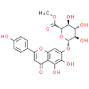 Scutellarin methyl ester