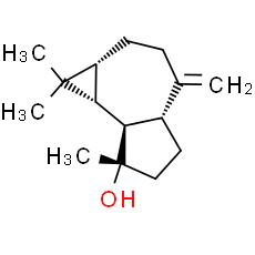 Spathulenol