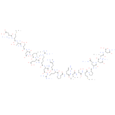 Katacalcin