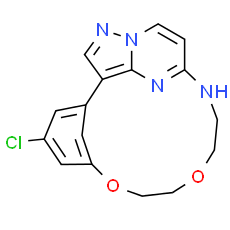 OD36