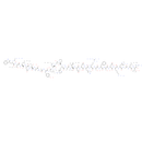 Galanin (1-29)(rat, mouse)