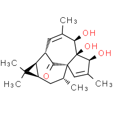 20-Deoxyingenol