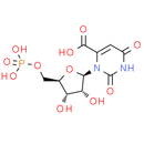 Orotidine 5′-monophosphate