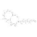 Endothelin 1 (swine, human)