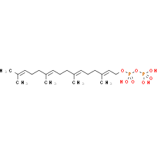 Geranylgeranyl pyrophosphate