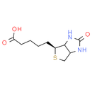 rel-Biotin-d4