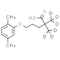 Gemfibrozil D6