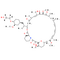 Everolimus D4