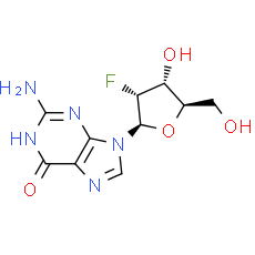 2′-Deoxy-2′-fluoroguanosine