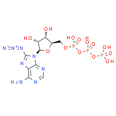 8-Azido-ATP