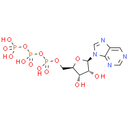 Purine riboside triphosphate