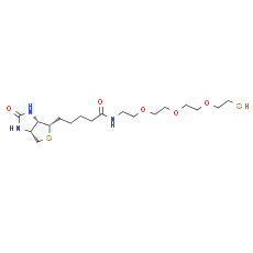 Biotin-PEG3-SH