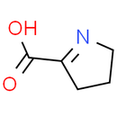 Pyrroline-5-carboxylate