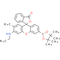 NucPE1