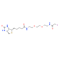 Biotin-PEG2-C2-iodoacetamide