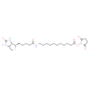 Biotin-C10-NHS Ester