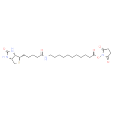 Biotin-C10-NHS Ester