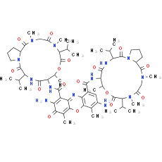7-Aminoactinomycin D