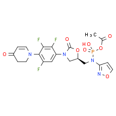 Contezolid acefosamil