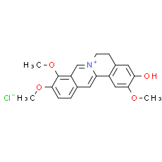 Jatrorrhizine chloride