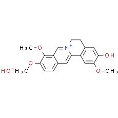 Jatrorrhizine hydroxide