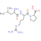 Leucylarginylproline