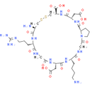 iRGD peptide