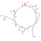 iRGD peptide
