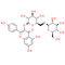 Kaempferol 3-O-gentiobioside