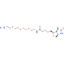 Amine-PEG3-Biotin