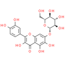 Quercetagitrin