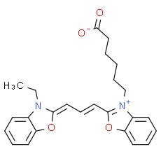 Cy2
