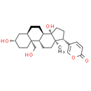 19-Hydroxybufalin