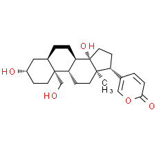 19-Hydroxybufalin