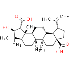 Ceanothic acid